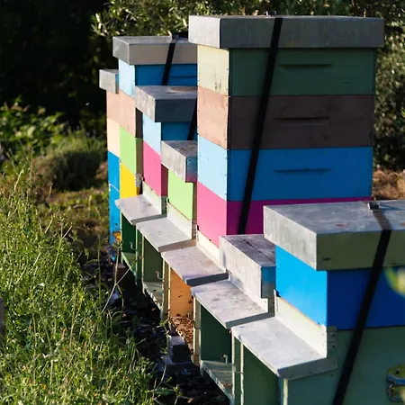 דירה La Minucciola *