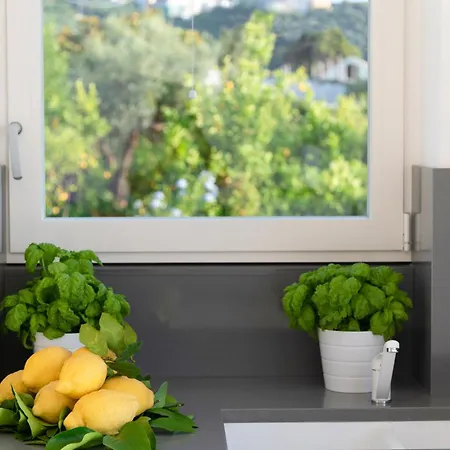 La Minucciola Apartment